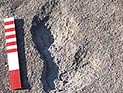 Швейцария не стала ограничивать право иностранцев на владение недвижимостью Швейцария не стала ограничивать право иностранцев на владение недвижимостью