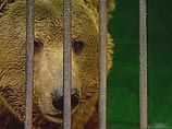В России будет восстановлена должность главного жилищного инспектора В России будет восстановлена должность главного жилищного инспектора