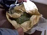 В Ростове-на Дону школьник вел оптовую торговлю марихуаной. В ходе "контрольных закупок" сотрудникам правоохранительных органов удалось приобрести у подростка полтора килограмма зелья