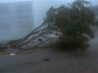 Напомним, ураган уже атаковал мексиканский полуостров Юкатан во вторник вечером. Удары "Дина" по полуострову не привели к человеческим жертвам