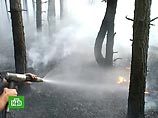 Ряд центральных областей России охватили лесные и торфяные пожары, с ними борются спасатели МЧС.