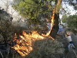 По последним данным, масштабные лесные пожары привели к гибели 62 человек