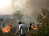 В Греции за поимку поджигателей лесов объявлена награда в миллион евро