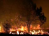 Пожарами в центральном регионе России охвачено 250 гектаров Пожарами в центральном регионе России охвачено 250 гектаров