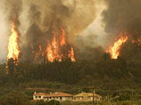 Лесные пожары в Греции накалили политическую обстановку