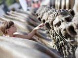 В Венеции открывается юбилейный 75-й международный кинофестиваль
В Венеции открывается юбилейный 75-й международный кинофестиваль