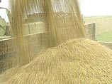 Россия может ограничить экспорт зерна Россия может ограничить экспорт зерна