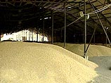 Россия может ограничить экспорт зерна
