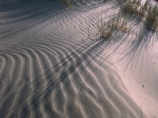 В Калифорнии десятилетнего ребенка насмерть завалило песком на пляже
