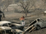 В Греции приступили к восстановлению районов, пострадавших от катастрофических лесных пожаров