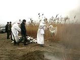 В Краснодарском крае от "птичьего гриппа" погибли 500 кур