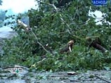 Ураган на Ставрополье оставил без электричества 9 тысяч человек Ураган на Ставрополье оставил без электричества 9 тысяч человек
