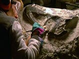 Динозавры вымерли из-за столкновения астероидов 160 млн лет назад