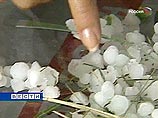 В Кочубеевском и Шпаковском районах Ставропольского края в результате стихии - ливня, сопровождавшегося сильным ветром и градом, пострадали 15 объектов образования, два учреждения здравоохранения, и около 3 тыс. жилых домов В Кочубеевском и Шпаковском районах Ставропольского края в результате стихии - ливня, сопровождавшегося сильным ветром и градом, пострадали 15 объектов образования, два учреждения здравоохранения, и около 3 тыс. жилых домов