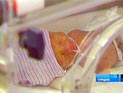 Каждый день в мире появляется 160 тысяч вредоносных программ Каждый день в мире появляется 160 тысяч вредоносных программ