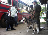 Полиция Шри-Ланки просит граждан одолжить им своих собак на восемь лет для борьбы с терроризмом