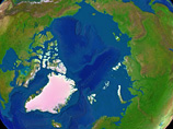  	  Дания считает ситуацию по разделу Арктики "неприемлемой" и предлагает созвать международную конференцию