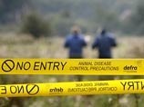 В Великобритании ящур нашли уже на четвертой ферме, скот на ней забили В Великобритании ящур нашли уже на четвертой ферме, скот на ней забили