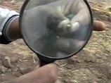 В Перу упал метеорит: 600 жителей жалуются на тошноту и головокружение В Перу упал метеорит: 600 жителей жалуются на тошноту и головокружение