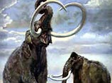 На Ставрополье нашли скелет Южного слона возрастом несколько миллионов лет 