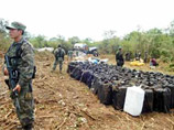 Груженный 3,2 тоннами кокаина самолет разбился в джунглях Мексики