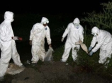 В Канаде новая вспышка "птичьего гриппа". Забою подлежат 50 тысяч кур В Канаде новая вспышка "птичьего гриппа". Забою подлежат 50 тысяч кур