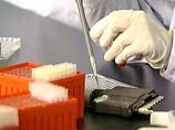Проведенные анализы подтвердили, что молодой индонезиец, умерший в конце прошлой недели в одной из больниц Джакарты, был заражен опасной для человека разновидностью "птичьего гриппа" H5N1 Проведенные анализы подтвердили, что молодой индонезиец, умерший в конце прошлой недели в одной из больниц Джакарты, был заражен опасной для человека разновидностью "птичьего гриппа" H5N1