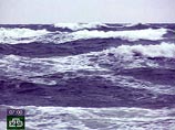 На поиски судна отправили вертолет, который в районе Рыбновского побережья обнаружил два спасательных плота