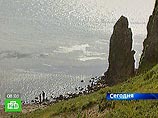 У побережья Сахалина обнаружены тела четырех моряков и потерпевшее бедствие судно "Кварц" У побережья Сахалина обнаружены тела четырех моряков и потерпевшее бедствие судно "Кварц"