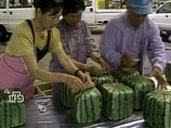 В Японии квадратные плоды продаются уже несколько лет по баснословным ценам
