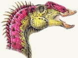 Ученые обнаружили в штате Юта останки динозавра, у которого насчитывалось 800 зубов. Этот вид доисторических животных был наделен похожим на утиный клювом огромных размеров