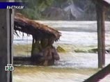 Сильный тайфун "Лекима", обрушившийся на центральную часть Вьетнама, привел к гибели как минимум трех человек Сильный тайфун "Лекима", обрушившийся на центральную часть Вьетнама, привел к гибели как минимум трех человек