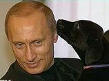В день рождения Путина жители Петербурга намерены установить памятник его собаке Кони