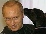 В день рождения Путина жители Петербурга намерены установить памятник его собаке Кони В день рождения Путина жители Петербурга намерены установить памятник его собаке Кони