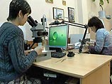Люди, чьи останки найдены в центре Москвы, не были убиты, утверждает следствие Люди, чьи останки найдены в центре Москвы, не были убиты, утверждает следствие