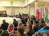 Британские овцы помогут улучшить доступ к интернету в сельской местности Британские овцы помогут улучшить доступ к интернету в сельской местности