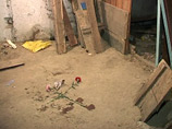 В Приамурье судят подростка, зарезавшего 11-летнего мальчика из-за велосипеда В Приамурье судят подростка, зарезавшего 11-летнего мальчика из-за велосипеда