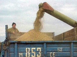 10% для пшеницы - это немного. Для ячменя пошлина является заградительной, но его экспорт невелик
