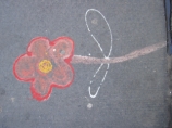 Родителям шестилетней девочки, нарисовавшей на асфальте цветы, вручили уведомление о нарушении закона о граффити