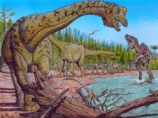 В аргентинской Патагонии ученые обнаружили останки нового вида титанозавра