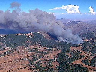 За последние дни в Калифорнии были зарегистрированы более 20 лесных пожаров, жертвами которых стали 12 человек