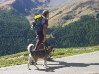 Итальянский защитник живой природы, 35-летний Джанлука Ратта вместе со своей собакой Широй прошел пешком 33879 км по дорогам Европы для того, чтобы привлечь внимание общественности к проблемам домашних животных