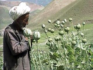 Около 3,3 млн. человек из 25 млн жителей Афганистана тем или иным образом вовлечены в производство и транспортировку наркотиков