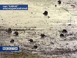 Содержание нефтепродуктов в Керченском проливе, в районе косы Чушка, где из-за шторма в воскресенье произошло несколько кораблекрушений, экстремально высокое