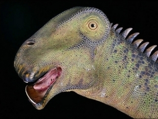 "Коровой Мезозойской эры" назвали американские ученые динозавра, останки которого они обнаружили в Сахаре