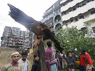 В Бангладеш циклон "Сидр" унес жизни 242 человек 
