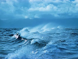 В Японском море шторм потопил судно с российским экипажем