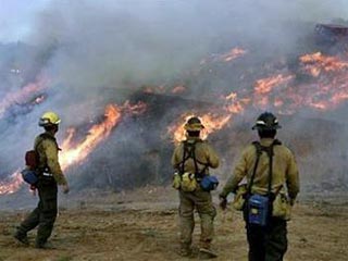 В американском штате Калифорния несколько дней бушуют лесные пожары, в результате которых сгорели несколько десятков домов и эвакуированы около 14 тысяч жителей