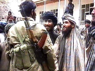 Талибы напали на базу голландских военных в провинции Урузган