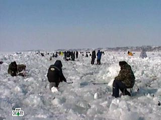 Спасены семеро рыбаков с дрейфующих в Финском заливе льдин